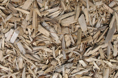 biomass boilers Scotswood